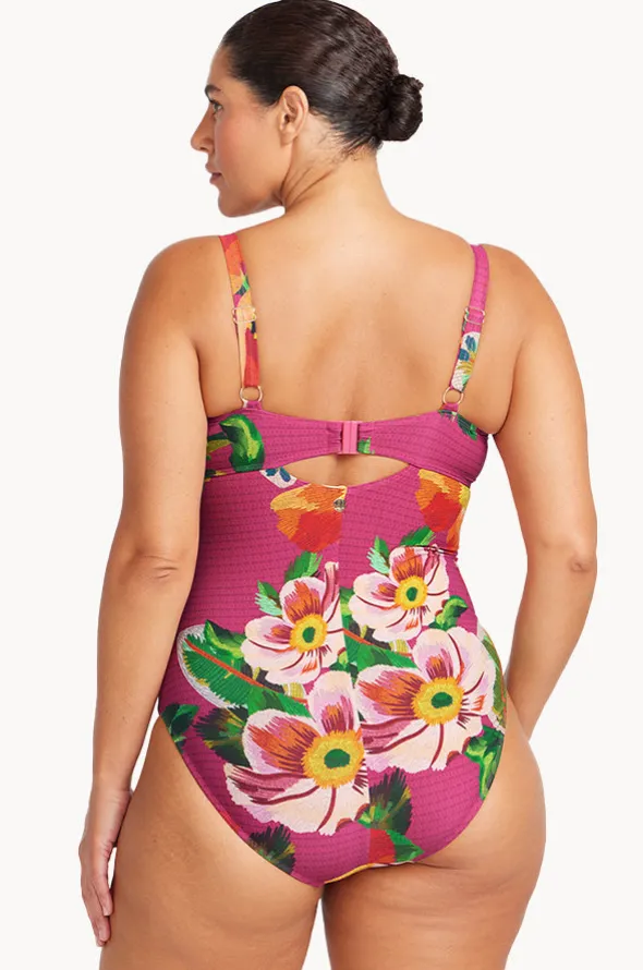 Le Recife Cezanne D/DD Cup One Piece