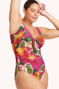 Le Recife Cezanne D/DD Cup One Piece