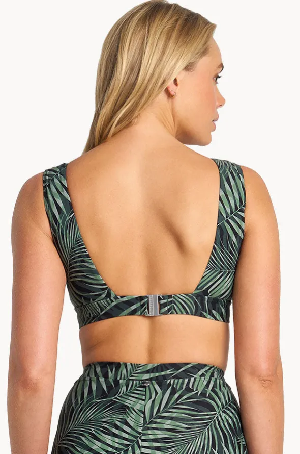 Lombok Crop
