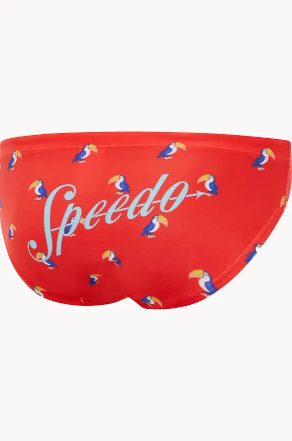 Mens Toucan Brief